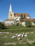 village en Transylvanie